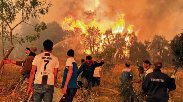Forest fires in Algeria kill more than 70 people - Juventud Rebeldi