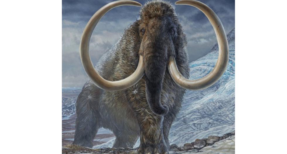 What was life like for mammoths 17,000 years ago?  Scientists reveal their secrets |  technology