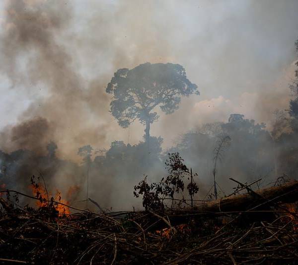 Brazil's Amazon now emits more carbon than it can sequester