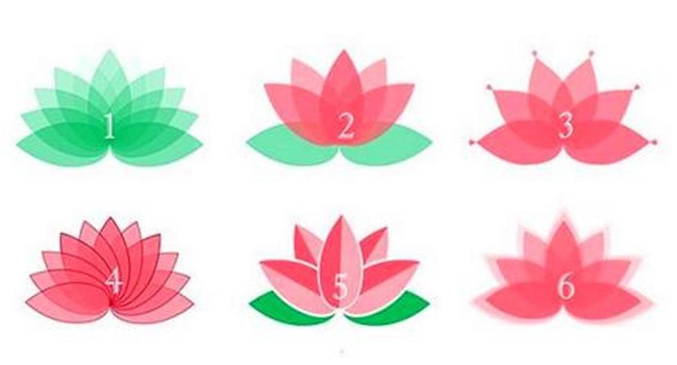Viral Test Today Choose the flower you like and we will reveal how you deal with difficult situations in life |  Mexico
