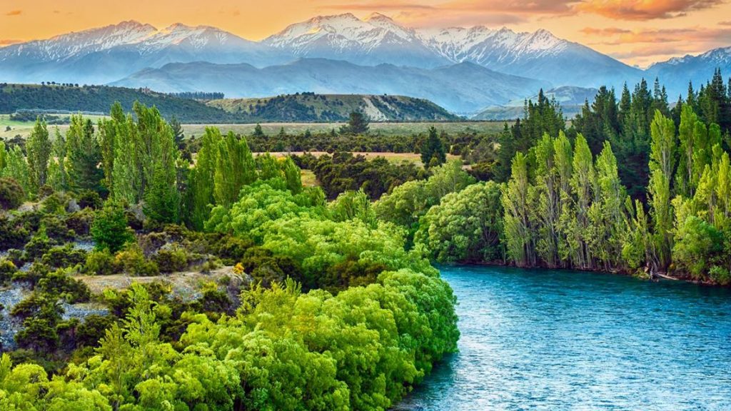 New Zealand is the best country to face a global catastrophe