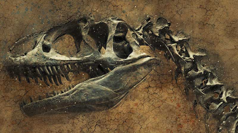 The study found that dinosaurs lived in herds