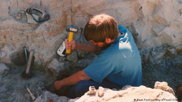 Dr. Brian Curtis works at the Dry Mesa dinosaur quarry, where Supersaurus was originally found.