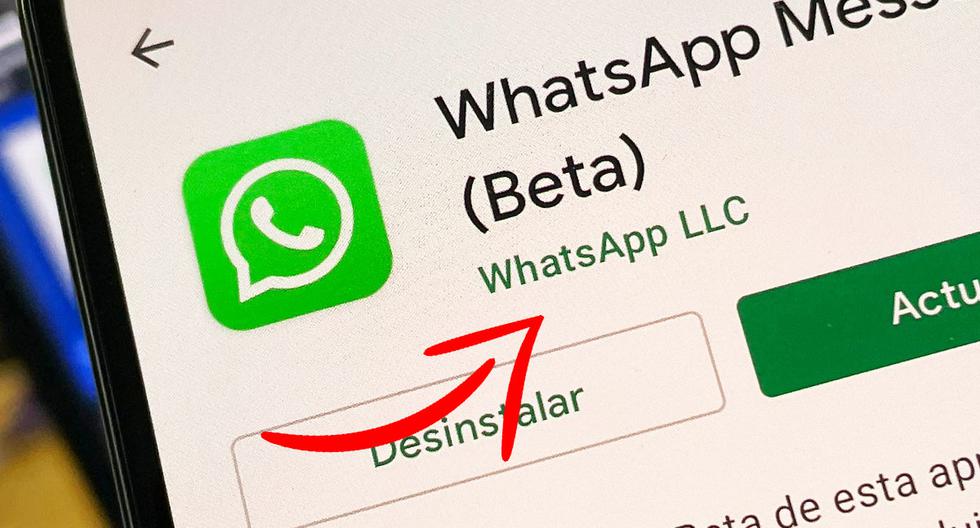 WhatsApp LLC |  What does that mean |  What is that?  Applications |  Download |  2021 |  Smartphone |  Google Play |  iOS Store |  nda |  nnni |  data