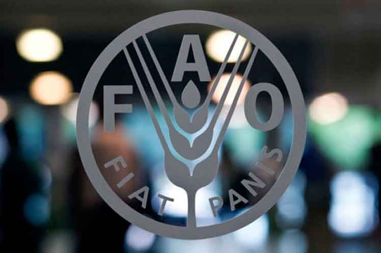 FAO insists on more resilient agricultural food systems