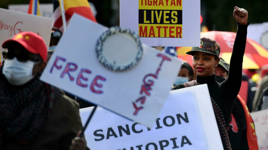 The government demands "sacrifices" for its citizens to "save" Ethiopia