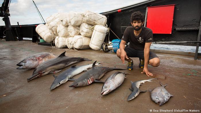 Press Sea Shepherd Global Photos