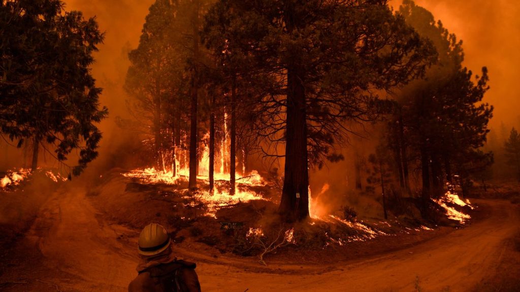"From New Zealand I watch the fire in California. Without stepping on the Internet and in the United States" | Digital Change | Technology