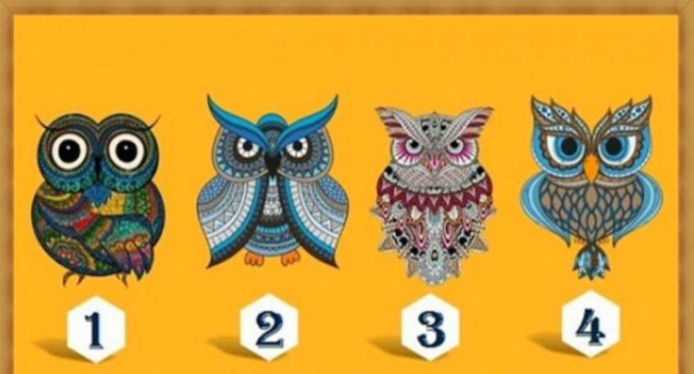 Viral testing for the moment |  Choose the owl that catches your eye: the viral test that shows your status with others |  Uses
