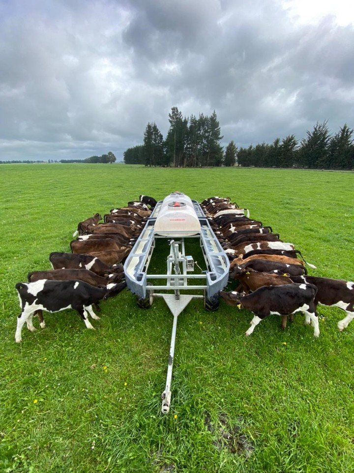 100 calf capacity fodder in Ashburton.