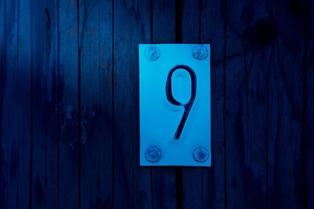 For rabbits, ox and snake, their number is 9 (Image: Pixabay)