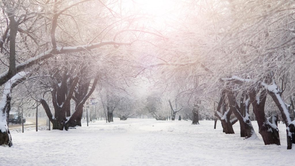 The coldest day of the year is about to arrive: we reveal the date