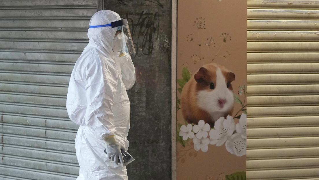 About 2,000 pets will be euthanized in Hong Kong after the first possible transmission of the coronavirus from animals to humans was discovered in the area.