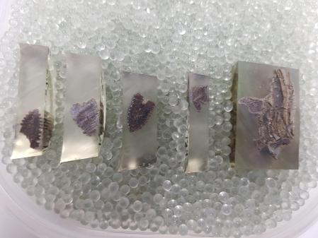 Cut parts of bone in epoxy resin, into glass beads for X-ray fluorescence analysis
