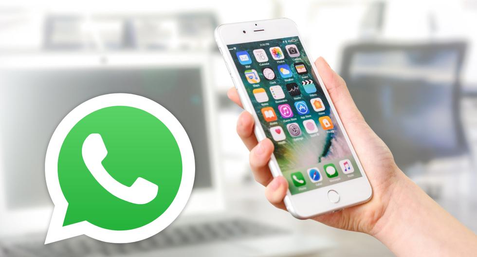 WhatsApp |  This is the functionality returned to the application at the request of users |  Features |  Tools |  WhatsAppBeta |  trick |  lessons |  Mobile phones |  iOS |  Apple |  iPhone |  nda |  nnni |  data