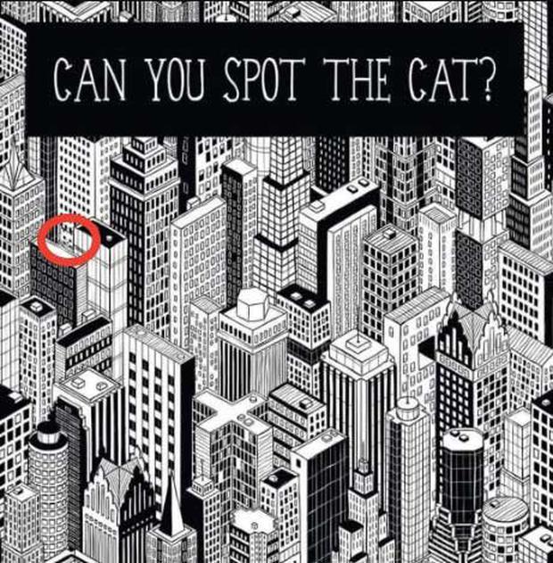 Solution: Look at where the cat is in the image below (Image: Facebook).