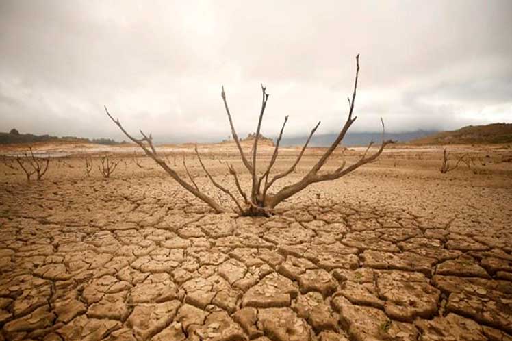 China helps drought-affected Horn of Africa countries