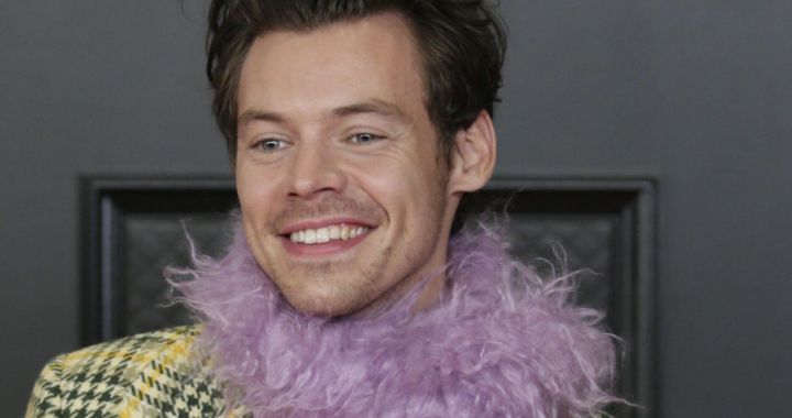 'As It Was' earns Harry Styles a Guinness World Record |  a musician