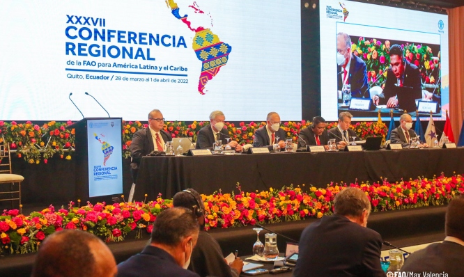 Latin America and the Caribbean has identified three FAO regional priorities