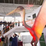 Mendoza scientists presented to the public the fossils of the largest pterodactyl reptiles in South America