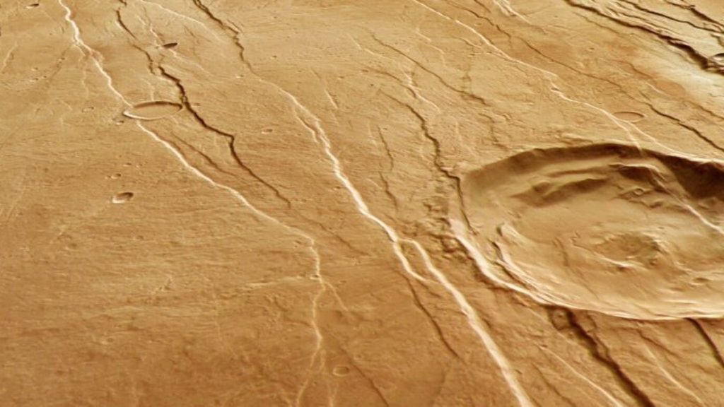 Pictures of Mars show signs of tentacles on its surface