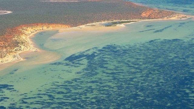 Aerial view of Shark Bay in Western Australia.