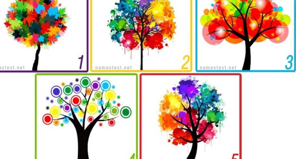 Choose a tree and the quiz will find out more about how you are |  Mexico
