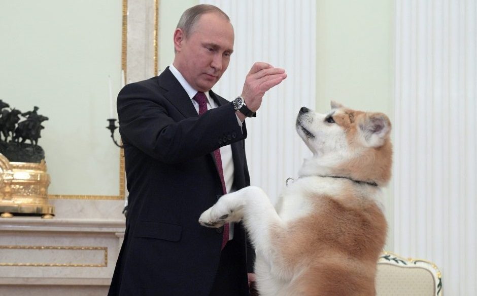Russian President Vladimir Putin plays with his dog Akita "day" in the Kremlin.