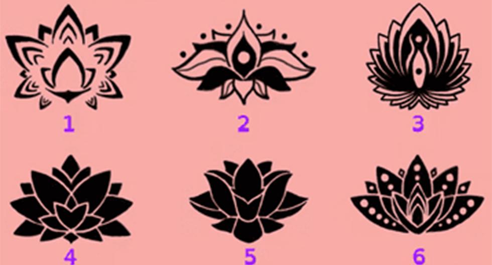 ▷ Choose a flower of your choice and the quiz will reveal your true personality |  Mexico