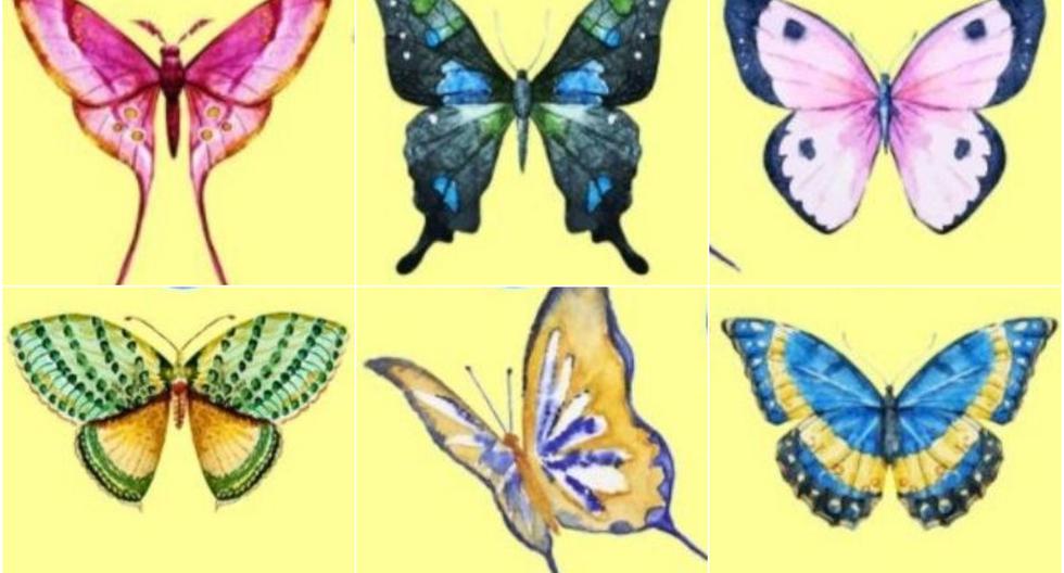 ➤ Are you currently looking for something that scares you?  Choose a butterfly from the visual test and you will understand |  Viral Challenge |  Psychological test |  directions |  viral |  direction |  Mexico |  MX |  Mexico