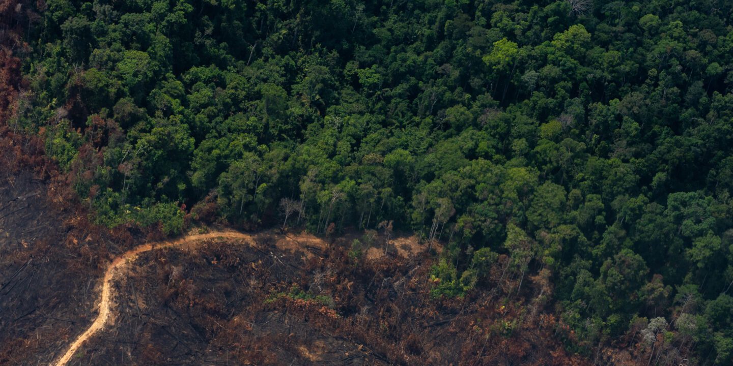 Aerial photo of deforestation in the Brazilian Amazon