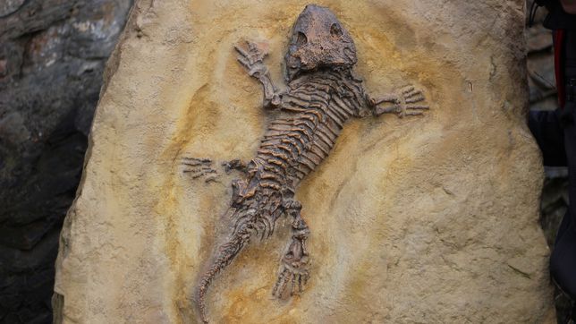 A study reveals the cause of the first mass extinction on Earth