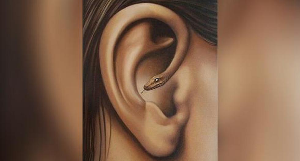 An ear or a snake, what do you see first?  Visual quiz with amazing answers |  psychological test |  Directions |  viral |  trend |  Mexico |  MX |  Mexico
