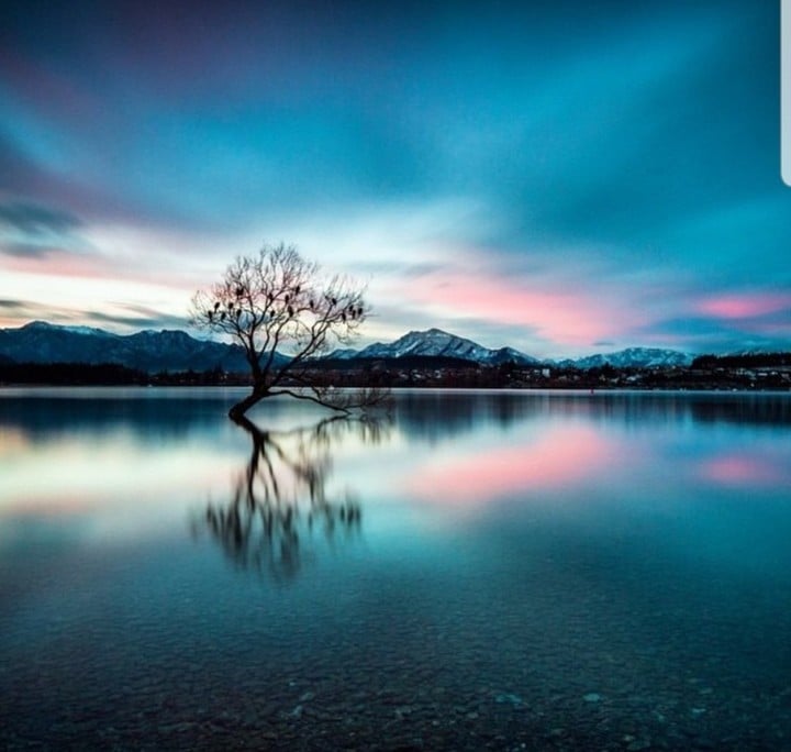 Lake Wanaka, the attraction of the lone tree in the middle.