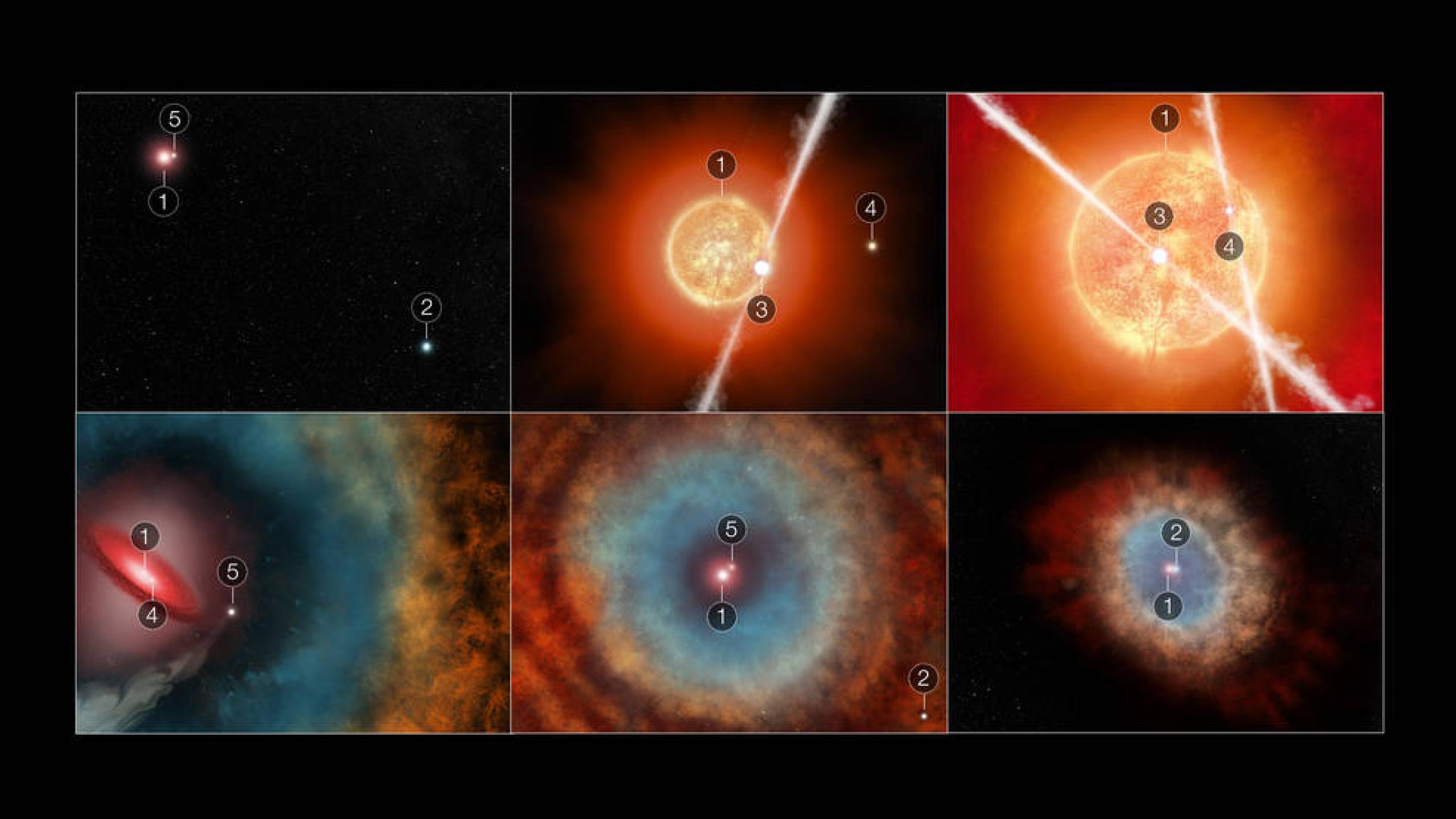 The five stars of the Ring Nebula.